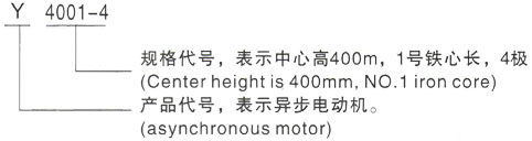 西安泰富西玛Y系列(H355-1000)高压YE2-225S-8三相异步电机型号说明