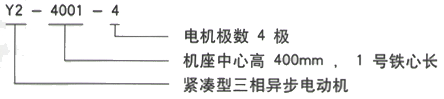 YR系列(H355-1000)高压YE2-225S-8三相异步电机西安西玛电机型号说明